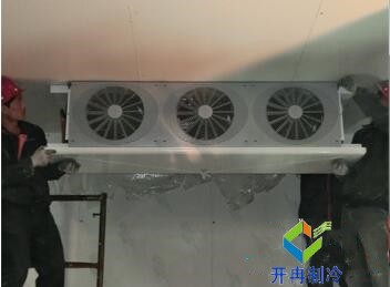 東莞100平水果保鮮冷庫造價大概要多少錢？