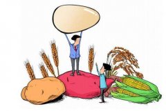 農產(chǎn)品冷庫設計方案內容