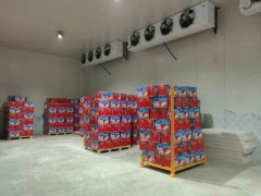 山東安裝一個(gè)500噸蘋果保鮮庫需要多少錢？