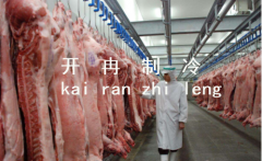 上海1000噸肉類冷庫設(shè)計(jì)，冷庫造價(jià)需要多少