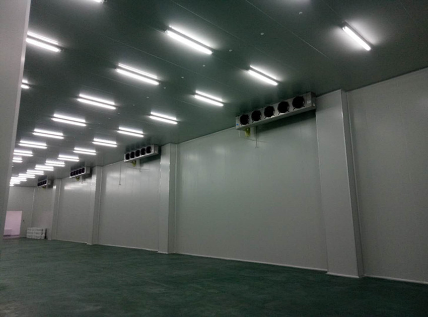 深圳金瑞凱利生物建造100㎡高標準醫(yī)藥冷庫（冷凍冷藏庫）工程案例
