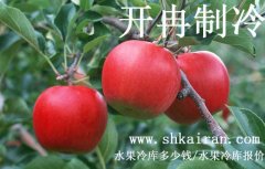 水果冷庫報價、一個水果冷庫多少錢