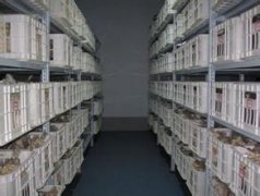 保鮮冷庫(kù)貯藏龍眼（桂圓）的方法