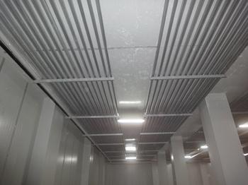 安裝一個300噸雞肉冷凍庫,雞排冷庫設備價格