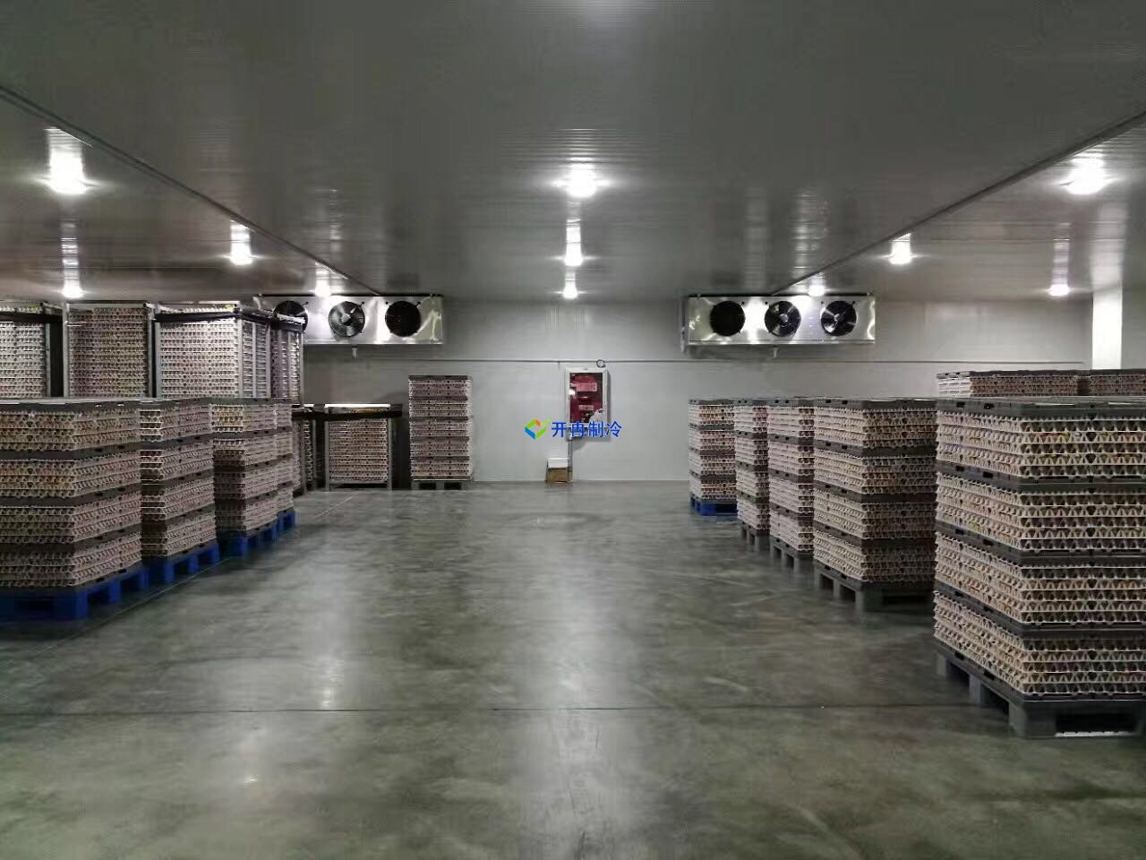 葡萄保鮮庫建造及設(shè)計造價,葡萄冷庫儲存方法