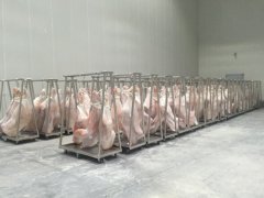 1000平牛肉冷藏庫(kù)造價(jià)多少錢，低溫凍肉冷庫(kù)建造