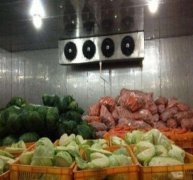 50噸蔬菜保鮮庫決定造價的因素有哪些？