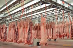 上海安裝600平米肉類冷凍庫價格是多少，600平米冷庫的耗電量怎樣