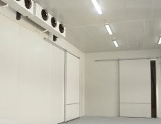 竹筍氣調庫預算成本是多少？竹筍的保存方法