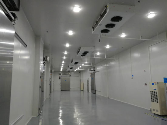 屠宰廠冷庫制作建造,排酸冷庫的建造有哪些要求?
